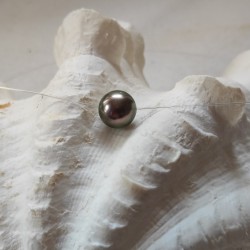 Tahaa necklace with black Tahitian pearl and silver clasp