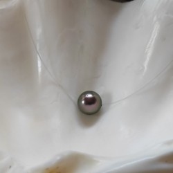 Collar Tahaa con perla negra de Tahiti y cierre de plata