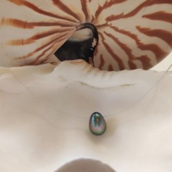 Tahaa necklace with black Tahitian pearl and silver clasp