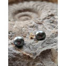 BOUCLES D'OREILLES MORANE